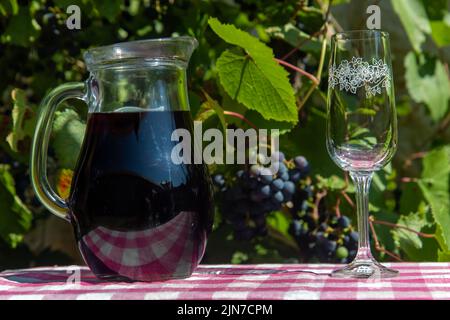 Wein in einer Karaffe mit reifen Trauben eines Weinbergs auf dem Hintergrund. Stockfoto