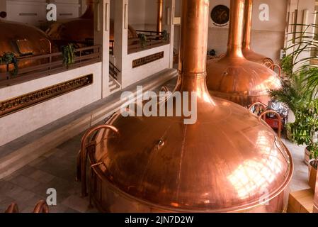 Ceske Budejovice, Tschechische Republik (6.. August 2022) - Kupfertanks in der Brauerei von Budweiser Budvar Bier Stockfoto