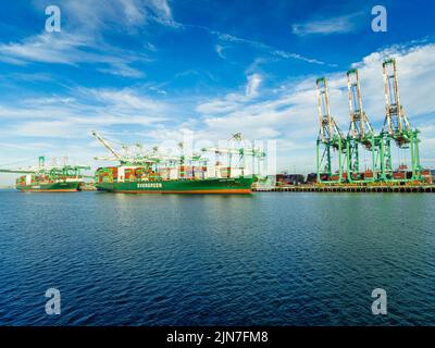 Los Angeles, CA, USA - 17. November 2017: Zwei Evergreen-Containerschiffe -- Ever Lunar und Ever Shine -- nehmen am Everport-Terminal, einem von, Fracht auf Stockfoto