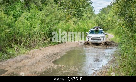 Overton, MO, USA - 13. August 2017: Toyota 4Runner SUV (2016 Trail Edition) mit einem Stand-up-Paddleboard fährt auf einem di durch Wasserpfützen Stockfoto