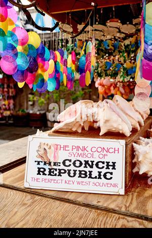 Souvenirladen in Key West, Florida, FL, USA. Mit der Pink Conch Schale und Glas Windspiele. Stockfoto