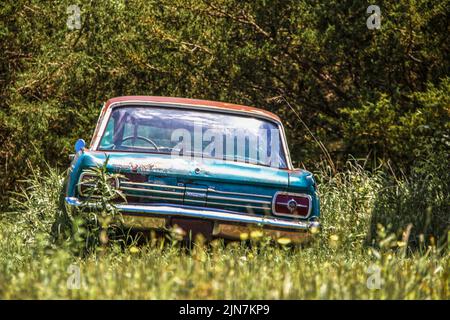 Vintage rostige verlassene Auto sitzt in Unkraut in der Nähe von Wäldern mit verschwommenen Wildblumen im Vordergrund Stockfoto