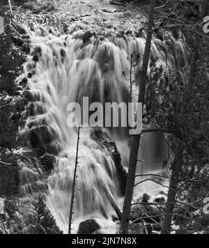 Dieses Schwarz-Weiß-Bild der Kepler Cascades zeigt einen mehrstufigen Wasserfall, der etwa 150 Meter im Yellowstone National Park, Wyoming, USA, fällt. Stockfoto