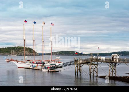 Vier Mast Schoner als Touristenschiff gebaut, gestartet 04-11-1998 Segeln aus Bar Harbor, Maine, USA. Schoner mit Touristen beladen. Stockfoto