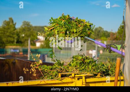 Kompost mit vielen verschiedenen Pflanzen. Kompost auf der Schaufel ergießt sich in einen Metalltank. Zweige, Blätter und Staub in einem Müllcontainer. Bio Gemüsekompost .Bio Stockfoto