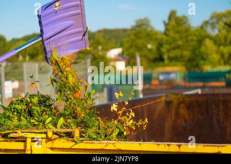 Grüner Kompost auf der Schaufel ergießt sich in einen Metalltank. Zweige, Blätter und Staub in einem Müllcontainer. Kompost mit vielen verschiedenen Pflanzen.Bio-Gemüsekompost Stockfoto