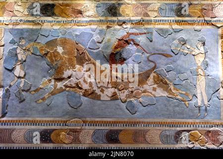 Das Fresko „Stier springt“ im Archäologischen Museum von Heraklion auf Kreta, Griechenland Stockfoto