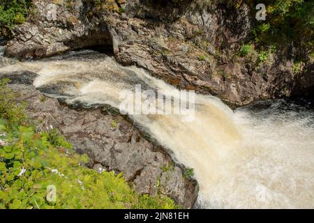 Falls of Shin, in der Nähe der Bonar Bridge, Highland, Schottland Stockfoto