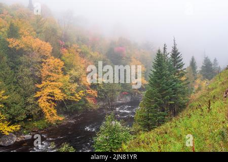 Nebliger Herbstmorgen am West Branch Ausable River, Adirondack Park, Essex County, New York Stockfoto