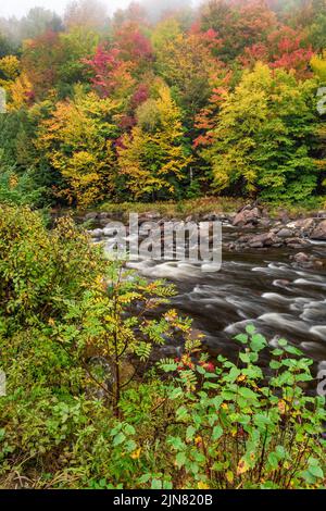 Herbst und ein aufgehellt Nebel auf dem West Branch Ausable River, Adirondack Park, Essex County, New York Stockfoto