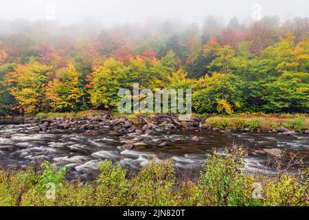 Herbst und ein aufgehellt Nebel auf dem West Branch Ausable River, Adirondack Park, Essex County, New York Stockfoto