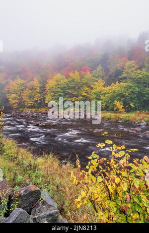 Nebliger Herbstmorgen am West Branch Ausable River, Adirondack Park, Essex County, New York Stockfoto