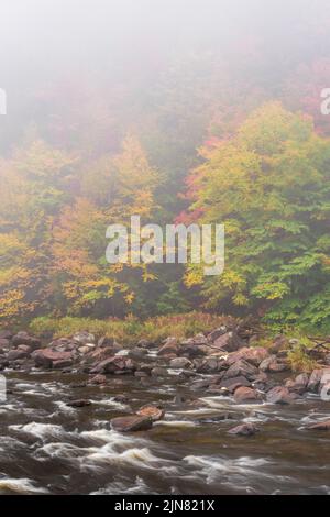 Nebliger Herbstmorgen am West Branch Ausable River, Adirondack Park, Essex County, New York Stockfoto