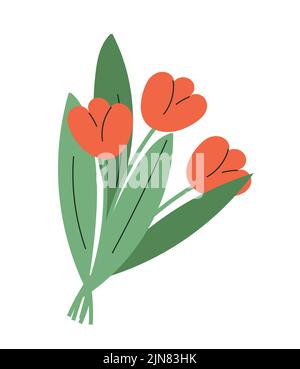 Bouquet von roten Tulpen Stock Vektor
