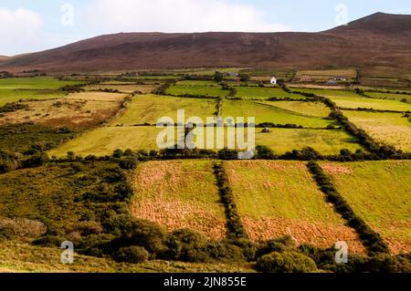 Irische Landschaften auf der Dingle-Halbinsel an der Westküste Irlands. Stockfoto