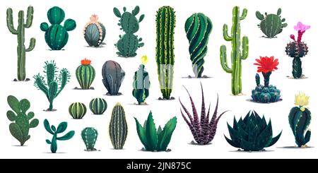 Mexikanische und Wüstenkakteen. Cartoon stachelige Sukulenten Pflanzen mit Blumen. Dessertflora und -Pflanzen in Mexiko, Peru oder Texas, isolierte Vektorkakteen, blühende Sukkulenten mit Blüten Stock Vektor
