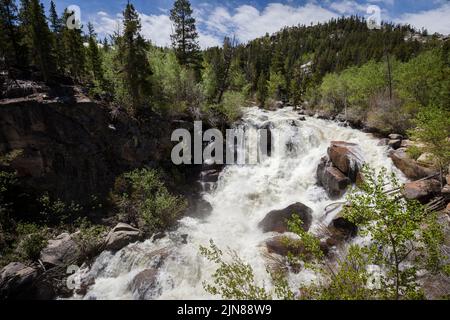 Der Middle Popo Agie River fließt durch den Sinks Canyon State Park in der Nähe von Lander, Wyoming. Stockfoto