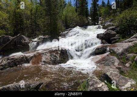 Der Middle Popo Agie River fließt durch den Sinks Canyon State Park in der Nähe von Lander, Wyoming. Stockfoto