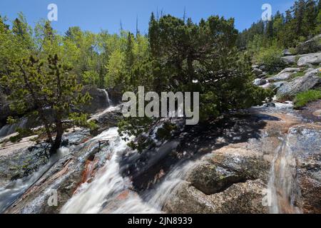 Der Middle Popo Agie River fließt durch den Sinks Canyon State Park in der Nähe von Lander, Wyoming. Stockfoto