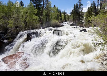 Der Middle Popo Agie River fließt durch den Sinks Canyon State Park in der Nähe von Lander, Wyoming. Stockfoto