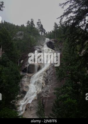 Die Shannon-Fälle in Squamish British Columbia sind von Bäumen auf beiden Seiten bedeckt Stockfoto