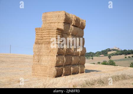 LANDSCHAFTSDORF Sorbolongo in der Provinz Pesaro und Urbino in den Marken in Italien Stockfoto