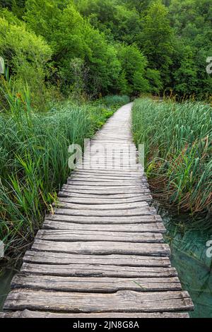 Plitvice, Kroatien - Holzsteg im Nationalpark Plitvicer Seen an einem hellen Sommertag mit grünem Laub Stockfoto