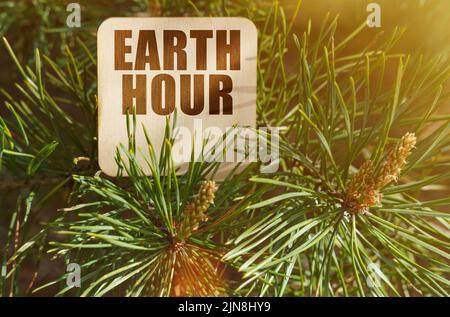 Ökologisches Konzept. Unter den Kiefernästen ist ein Schild mit der Aufschrift - Earth Hour Stockfoto