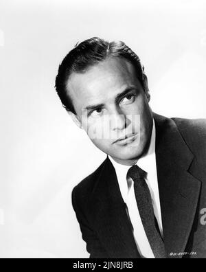 MARLON BRANDO 1953 Porträt-Werbung für Columbia Pictures Stockfoto