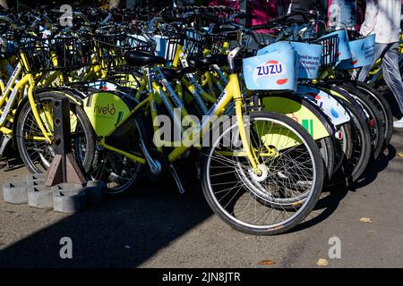 Bukarest, Rumänien, 1. November 2020: Viele Fahrräder parkten auf einer Seitenarbeit vor dem Park in Bukarest, Rumänien, alternative Transportlösung Stockfoto