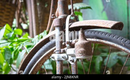 Altes Fahrrad in der Natur gefunden, selektiver Fokus auf Dynamo Stockfoto