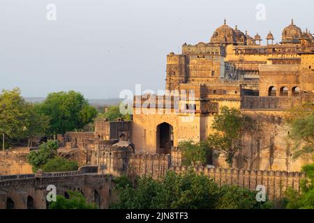 Der Orchha Fort Komplex, umgeben von üppigen Bäumen in Indien Stockfoto