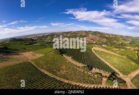 Weinbergplantagen, Panorama-Luftaufnahme nördlich von Italien. Blauer Himmel, Wolken, Hügel auf dem Land im Sommer Stockfoto