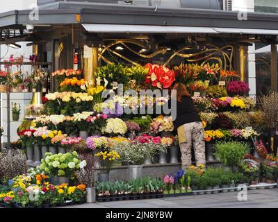 Blumenladen in den Straßen von wien Stockfoto