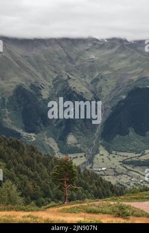 Berglandschaft von Svaneti an hellen Sommersonnen Tag. Bergsee, Hügel bedeckt grünes Gras auf schneebedeckten felsigen Bergen Hintergrund. Gipfel des Kaukasus Stockfoto