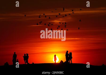 Gruppen von Menschen beobachten den Sonnenuntergang von einem Hügel in Ealing, West-London, während ein Sommer voller Rohrleitungsverbote und Feuerwarnungen anhält, wobei in weiten Teilen des Landes ein Wärmestandalarm ausgelöst wird. Bilddatum: Dienstag, 9. August 2022. Stockfoto