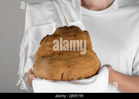 Weibliche Hände, die das Brot von Mdera halten, Pane di Miera auf weißem Hintergrund, typisch süditalienisches Sauerteig-Brot Stockfoto