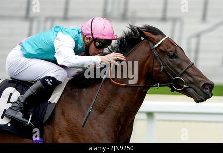 Aktenfoto vom 04-09-2020 von Tempus im Jockey Jason Watson. Tempus kann seinen guten Lauf in letzter Zeit fortsetzen, indem er die Group Three Tattersalls Sovereign Stakes in Salisbury einsackiert. Ausgabedatum: Mittwoch, 10. August 2022. Stockfoto