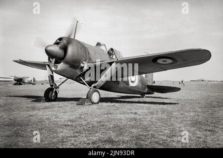 Ein Fleet Air Arm Brewster Buffalo Flugzeug bereitet sich auf den Start vor. Ein amerikanisches Kampfflugzeug, das Anfang des Zweiten Weltkrieges Dienst sah, war es eines der ersten US-Eindecker mit einem Arrestor Haken und anderen Modifikationen für Flugzeugträger. Im Hintergrund ist ein Westland Lysander zu sehen. Stockfoto