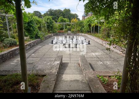 Ein riesiges Schachspiel im Freien in einem von Mauern umgebenen Garten im Sommer in East Yorkshire, England, Großbritannien. Stockfoto
