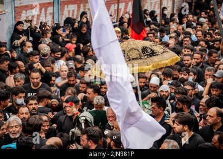 Srinagar, Indien. 09. August 2022. Schiitische Muslime versammelten sich um ein Pferd [Zuljanah], das das Pferd des Imam Hussain-Spaziergangs während einer Aschura-Prozession symbolisiert. Aschura ist der zehnte Tag von Muharram, dem ersten Monat des islamischen Kalenders, der weltweit zum Gedenken an das Martyrium von Imam Hussain, dem Enkel des islamischen Propheten Muhammad, beobachtet wird. Kredit: SOPA Images Limited/Alamy Live Nachrichten Stockfoto