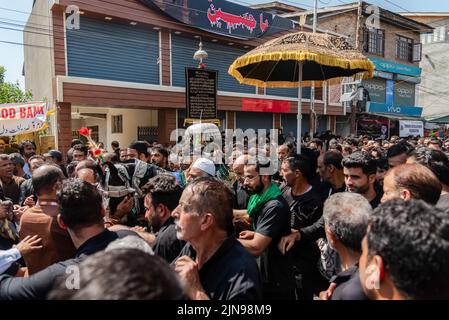 Schiitische Muslime versammelten sich um ein Pferd [Zuljanah], das das Pferd des Imam Hussain-Spaziergangs während einer Aschura-Prozession symbolisiert. Aschura ist der zehnte Tag von Muharram, dem ersten Monat des islamischen Kalenders, der weltweit zum Gedenken an das Martyrium von Imam Hussain, dem Enkel des islamischen Propheten Muhammad, beobachtet wird. (Foto von Idrees Abbas / SOPA Images/Sipa USA) Stockfoto