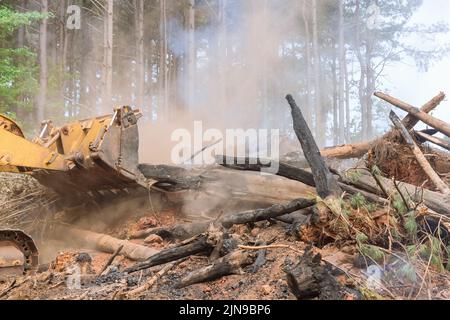 Ein Versuch, Land für neue Gebäude zu erschließen, in denen schwere Ausrüstung mit Bulldozierung verwendet wird, wird entwurzelt und während des Waldes verbrannt Stockfoto