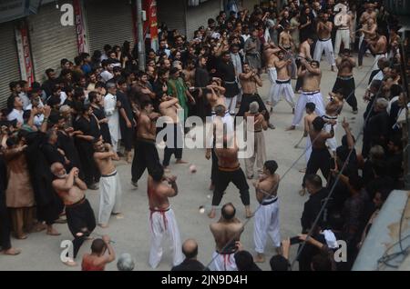 Schiitische Muslime geißeln sich mit Messern an Ketten während einer Prozession zur Markierung von Ashoura in Peshawar, Pakistan. Ashoura fällt auf den 10.. Tag von Muharram, dem ersten Monat des islamischen Kalenders, als Schiiten den Tod von Hussein, dem Enkel des Propheten Muhammad, bei der Schlacht von Karbala im heutigen Irak im 7.. Jahrhundert anmerken. (Foto von Hussain Ali/Pacific Press/Sipa USA) Stockfoto