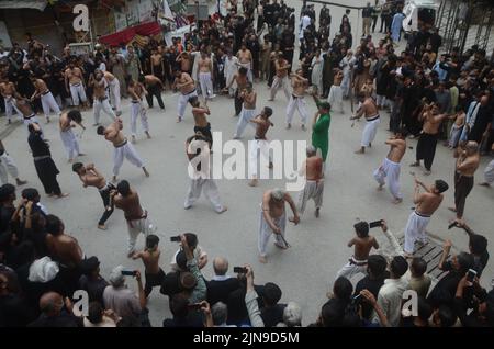 Schiitische Muslime geißeln sich mit Messern an Ketten während einer Prozession zur Markierung von Ashoura in Peshawar, Pakistan. Ashoura fällt auf den 10.. Tag von Muharram, dem ersten Monat des islamischen Kalenders, als Schiiten den Tod von Hussein, dem Enkel des Propheten Muhammad, bei der Schlacht von Karbala im heutigen Irak im 7.. Jahrhundert anmerken. (Foto von Hussain Ali/Pacific Press/Sipa USA) Stockfoto