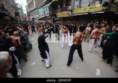 Schiitische Muslime geißeln sich mit Messern an Ketten während einer Prozession zur Markierung von Ashoura in Peshawar, Pakistan. Ashoura fällt auf den 10.. Tag von Muharram, dem ersten Monat des islamischen Kalenders, als Schiiten den Tod von Hussein, dem Enkel des Propheten Muhammad, bei der Schlacht von Karbala im heutigen Irak im 7.. Jahrhundert anmerken. (Foto von Hussain Ali/Pacific Press/Sipa USA) Stockfoto