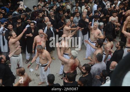 Schiitische Muslime geißeln sich mit Messern an Ketten während einer Prozession zur Markierung von Ashoura in Peshawar, Pakistan. Ashoura fällt auf den 10.. Tag von Muharram, dem ersten Monat des islamischen Kalenders, als Schiiten den Tod von Hussein, dem Enkel des Propheten Muhammad, bei der Schlacht von Karbala im heutigen Irak im 7.. Jahrhundert anmerken. (Foto von Hussain Ali/Pacific Press/Sipa USA) Stockfoto