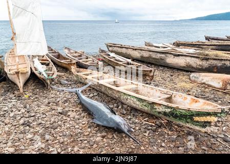 Sao Tome, traditionelle Holzdugouts am Strand in einem Fischerdorf, mit einem frisch gefischten Schwertfisch Stockfoto