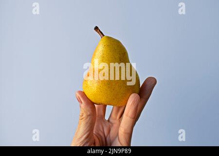Gelbe Birne auf der Hand in einem hellen Hintergrund Stockfoto