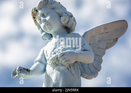 Seraphim Engel traurig mit Blume für Vergebung und Hoffnung auf bessere Tage Stockfoto